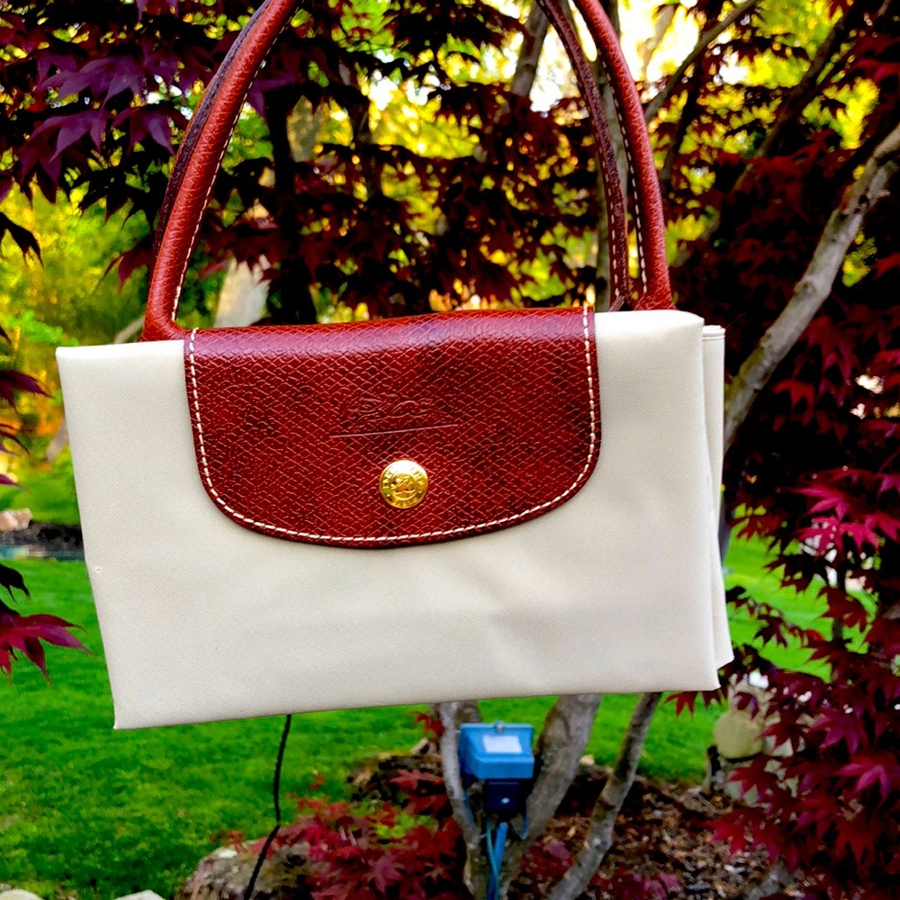 Long champ tote